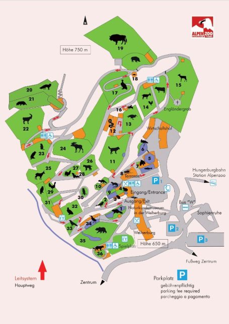 Innsbruck (Alpenzoo) Zooplan