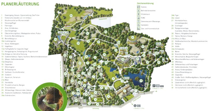 Zoomap grüner Zoo Wupertal