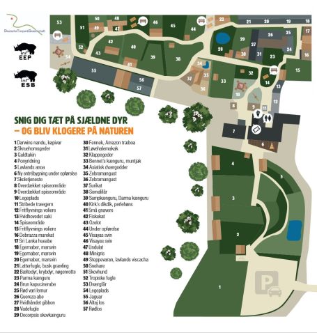 Borkop (Zoo Skaerup) Zooplan
